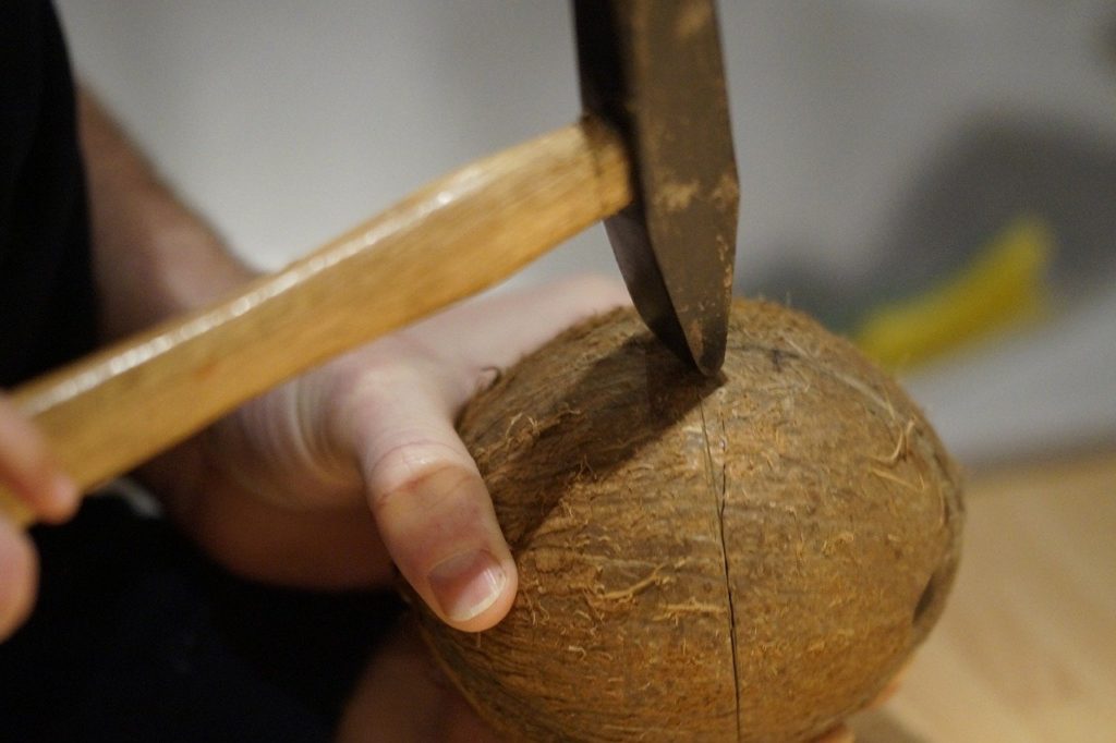 hammer is used to break coconut into two pieces