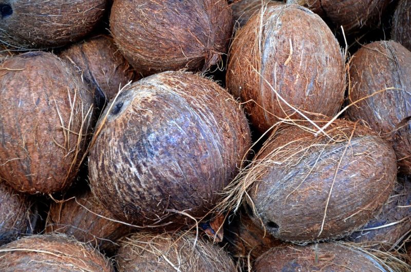 a bunch of coconuts in the market