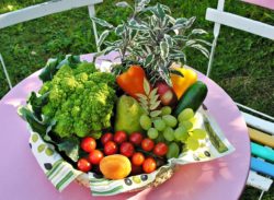 fruits and vegetables from farmland for storage
