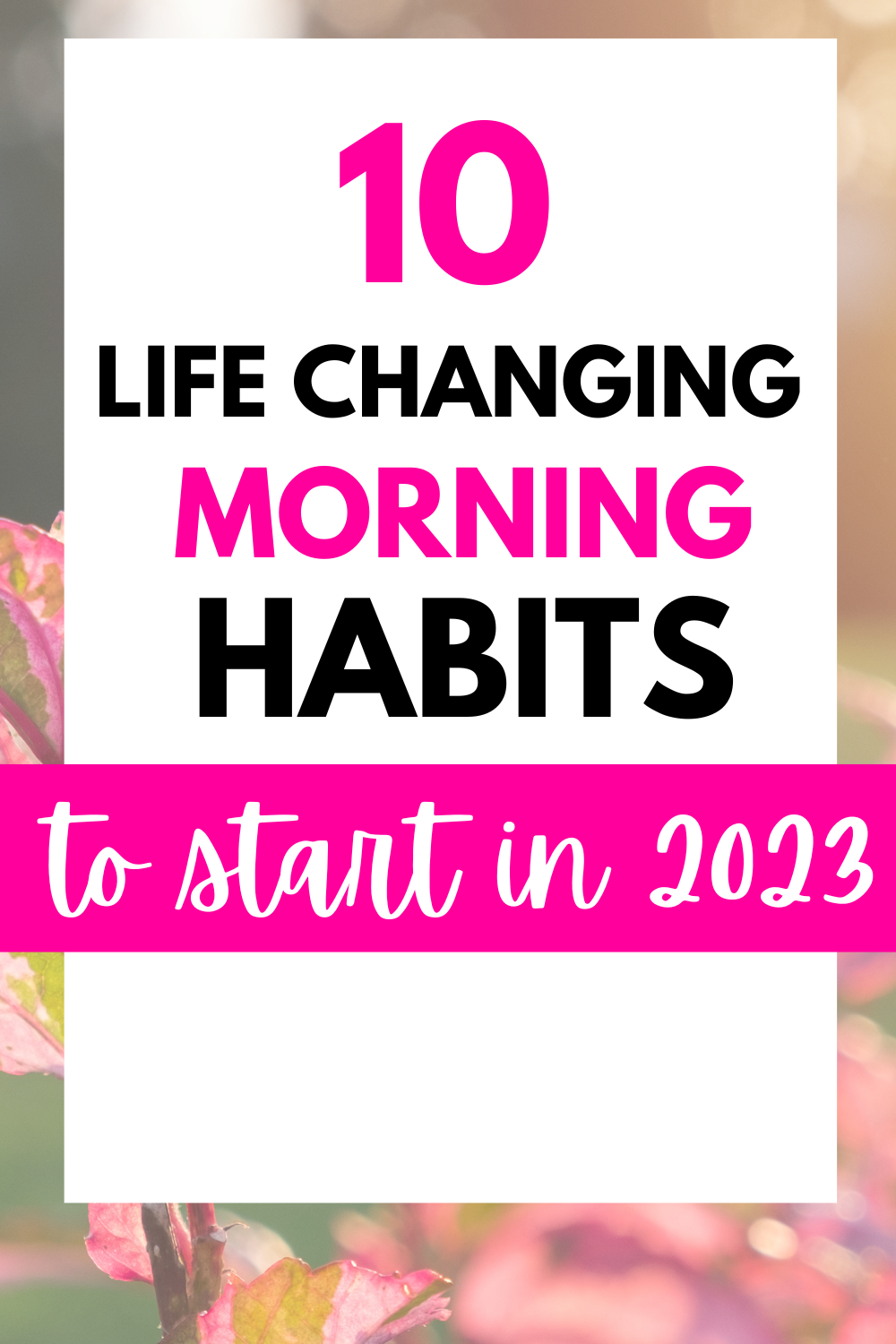 Good Morning Habits to Start Your Day Off Right