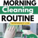 easy morning cleaning routine